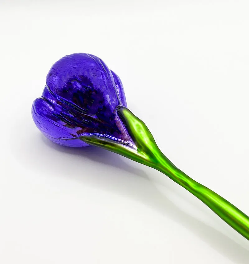 Krokusblüte violett