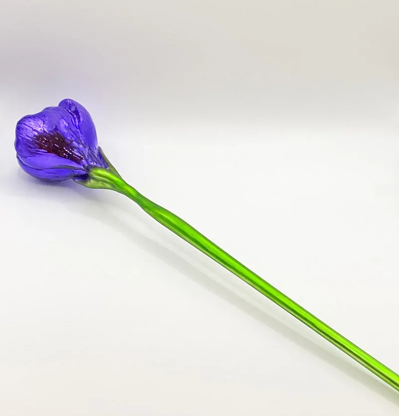 Krokusblüte violett