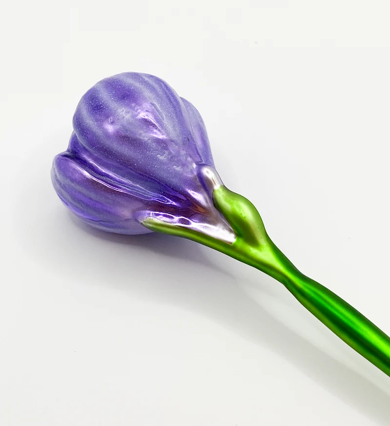 Krokusblüte lila