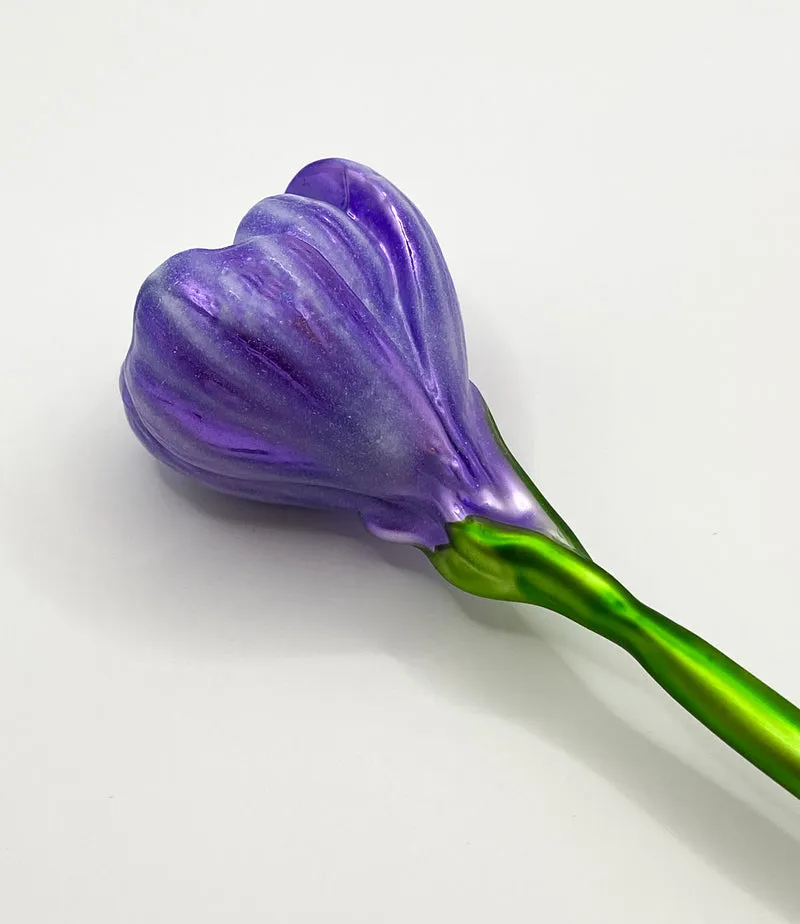 Krokusblüte lila