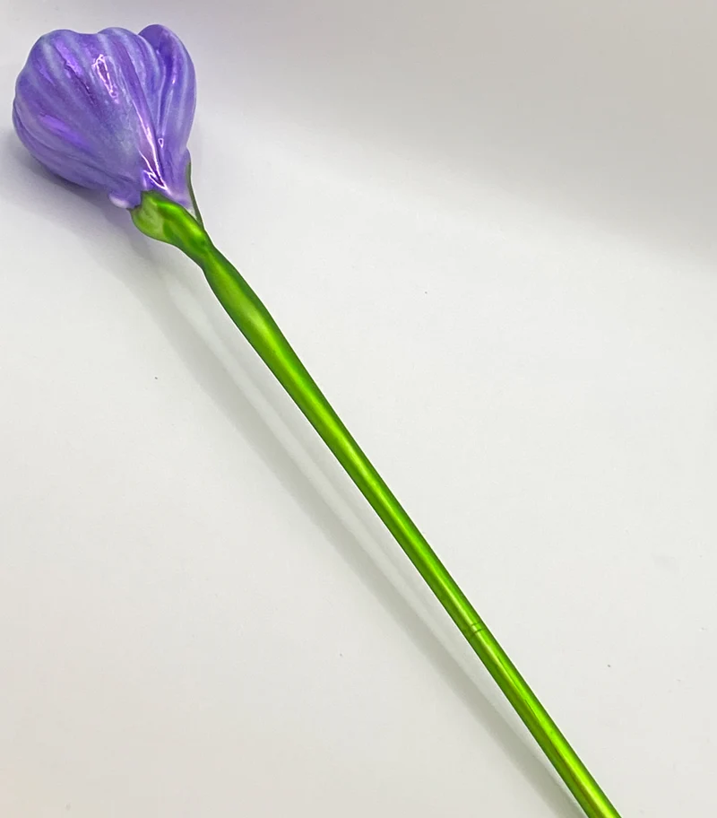 Krokusblüte lila