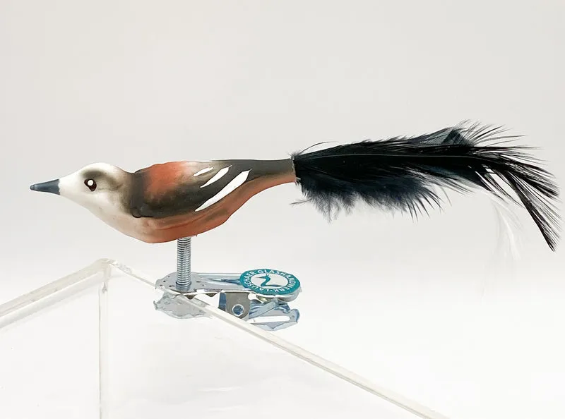 Kleine Schwanzmeise