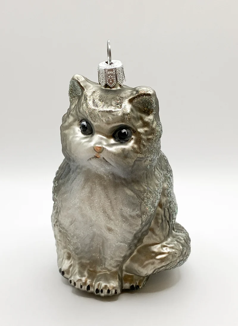 Grau-weisse Perser-Katze