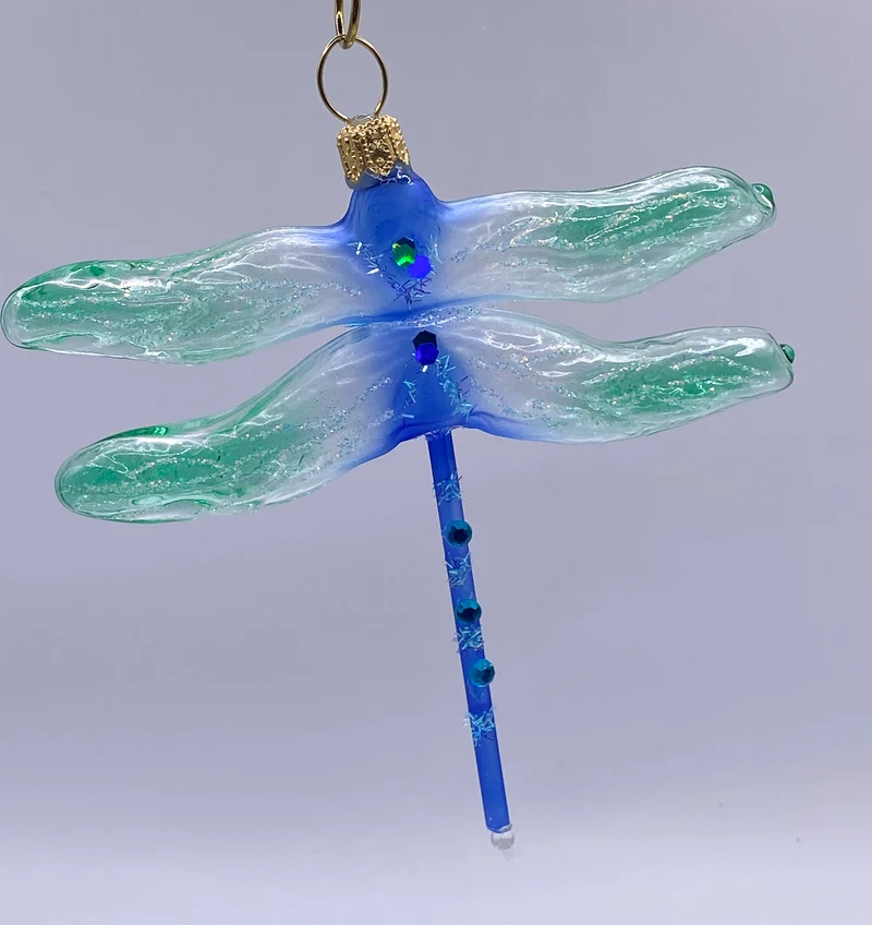Libelle mit türkis Flügeln