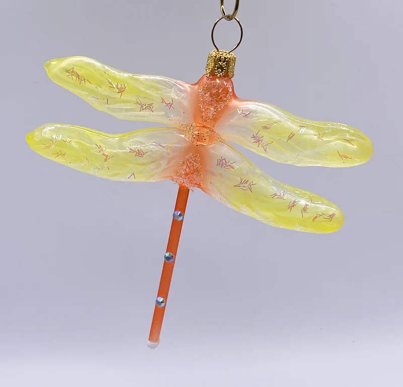 Libelle mit gelben Flügeln