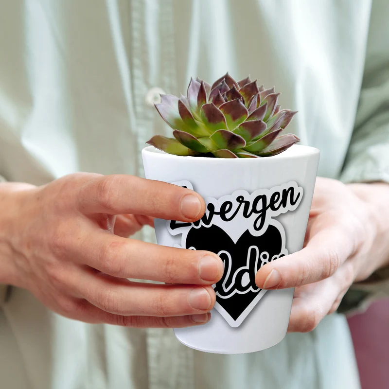 Zwergen Heldin mit Herz Blumentopf für Erzieherinnen
