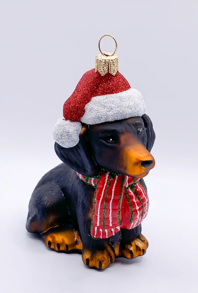 Schwarzer Dackel mit Schal und Weihnachtsmütze, Dachshund