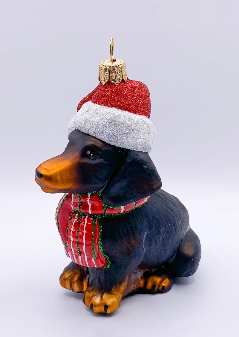 Schwarzer Dackel mit Schal und Weihnachtsmütze, Dachshund