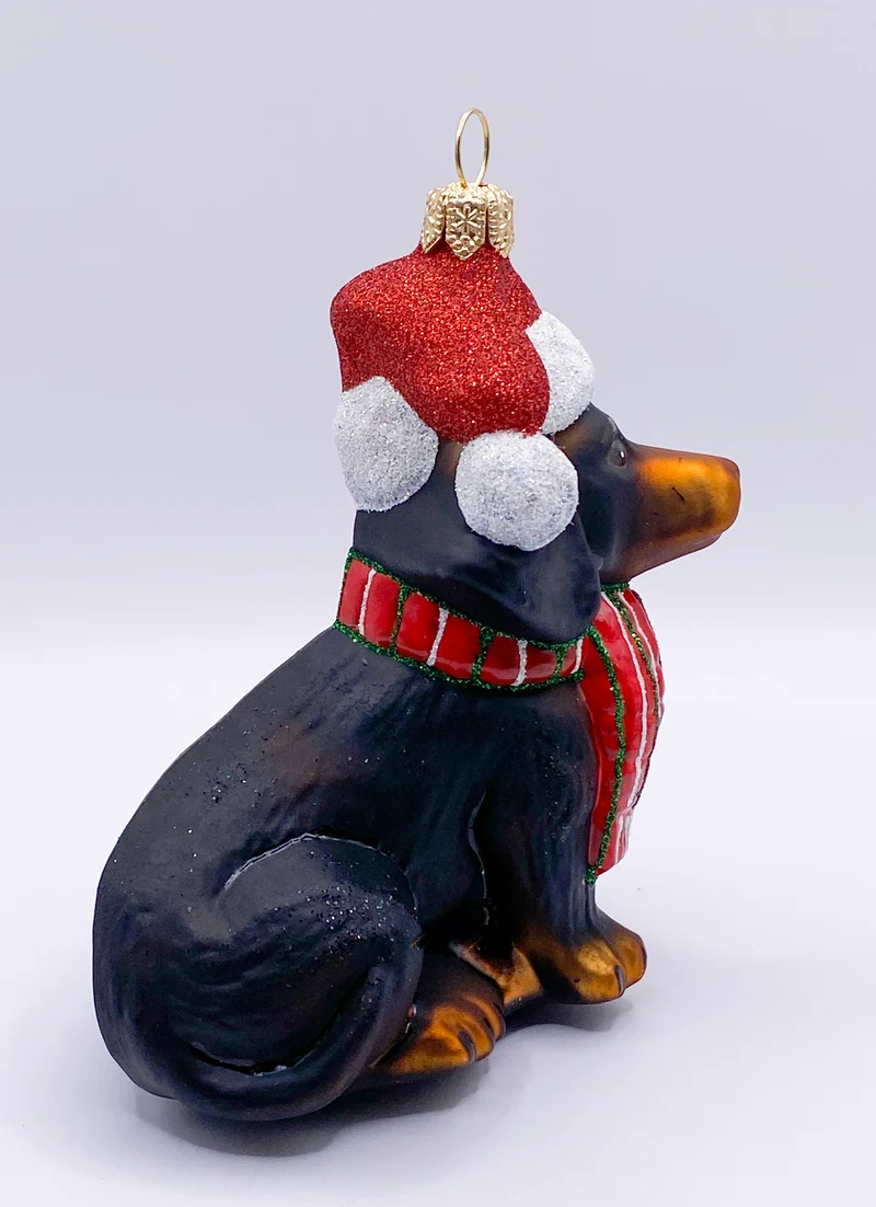 Schwarzer Dackel mit Schal und Weihnachtsmütze, Dachshund