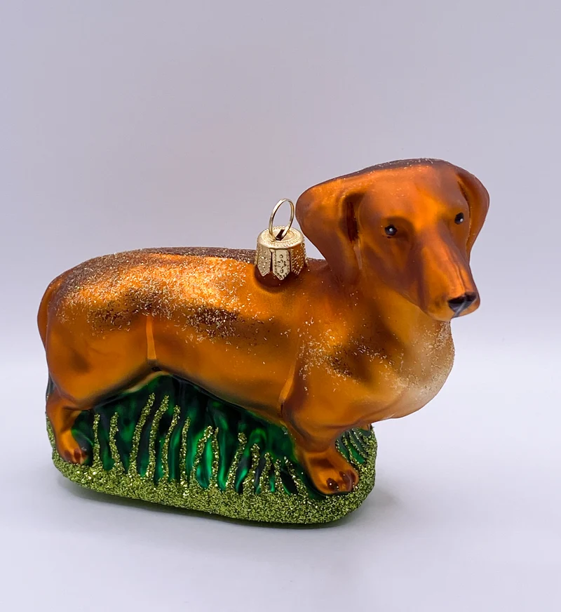 Brauner Dackel, Dachshund