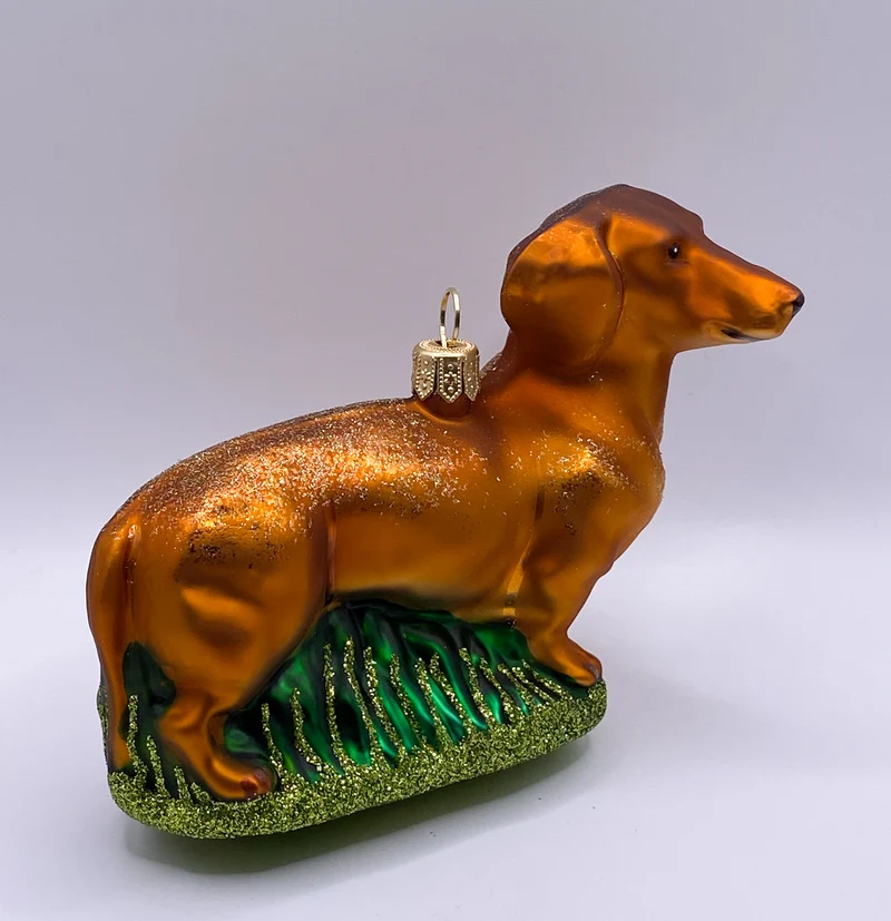 Brauner Dackel, Dachshund