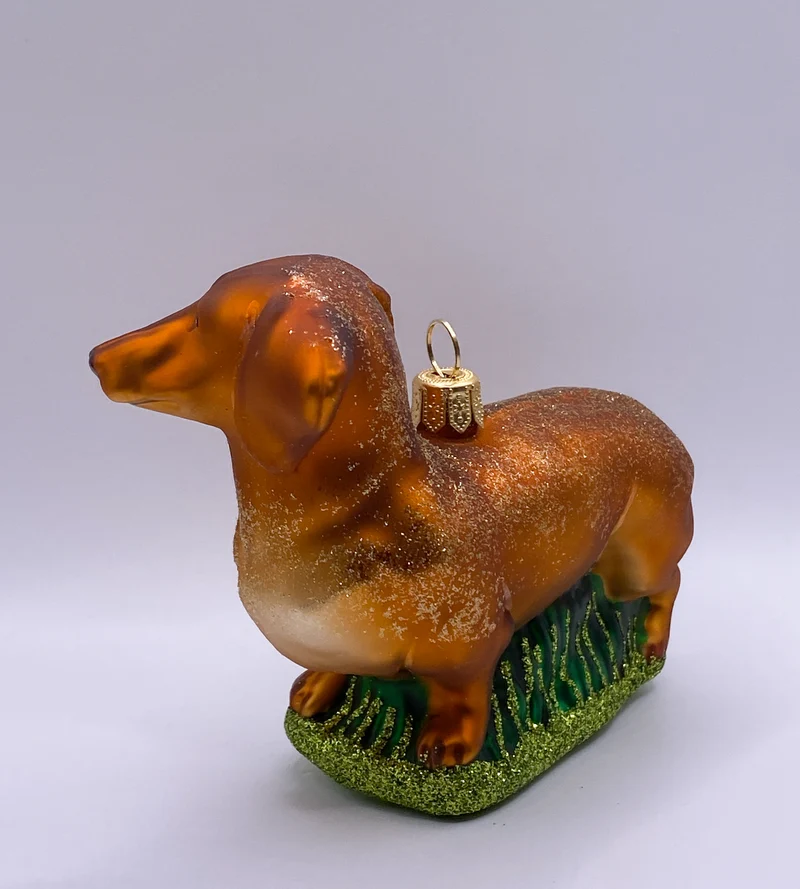 Brauner Dackel, Dachshund