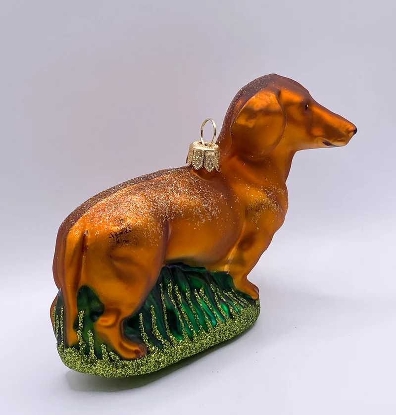 Brauner Dackel, Dachshund