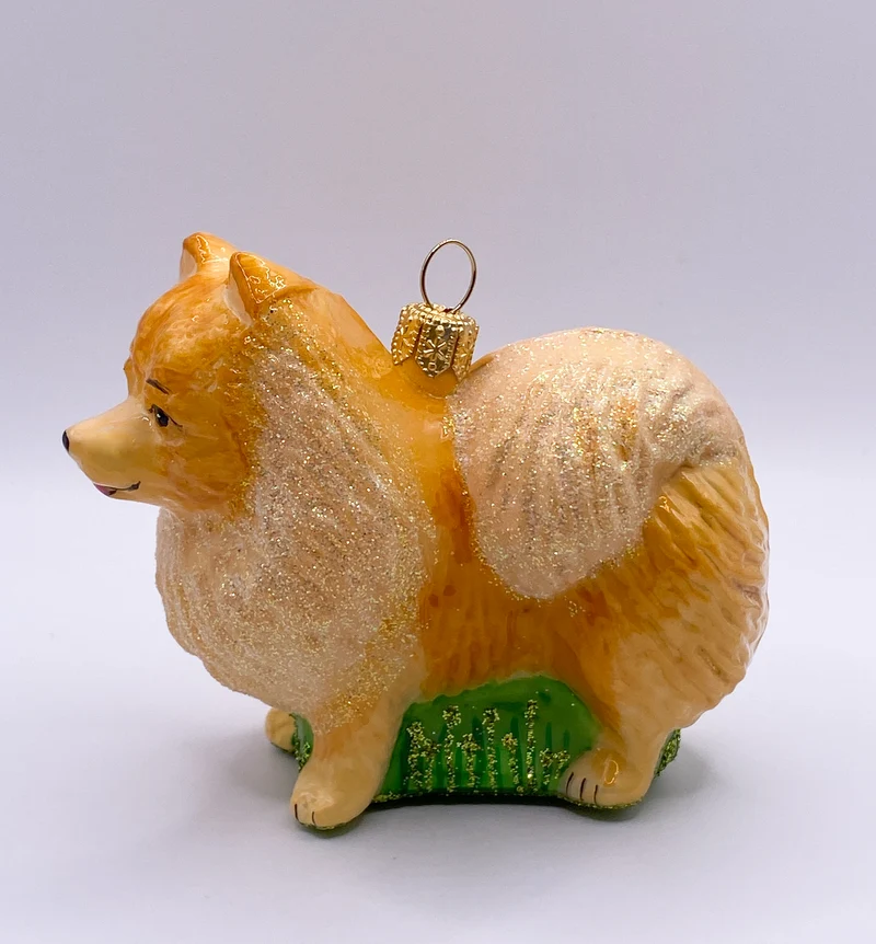 Zwergspitz, Pomeranian