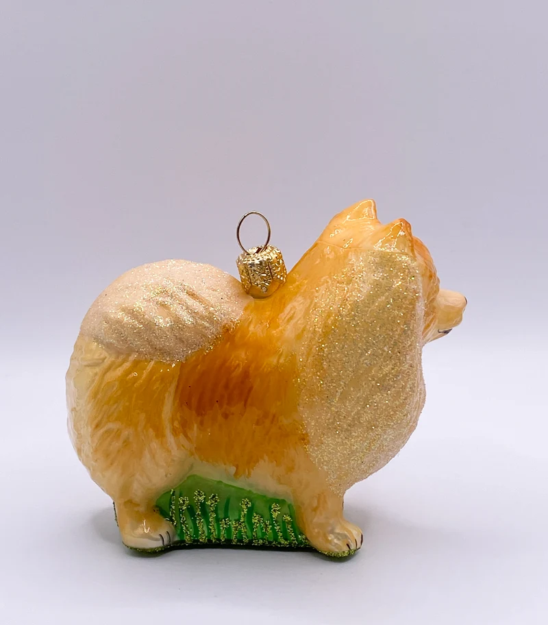 Zwergspitz, Pomeranian