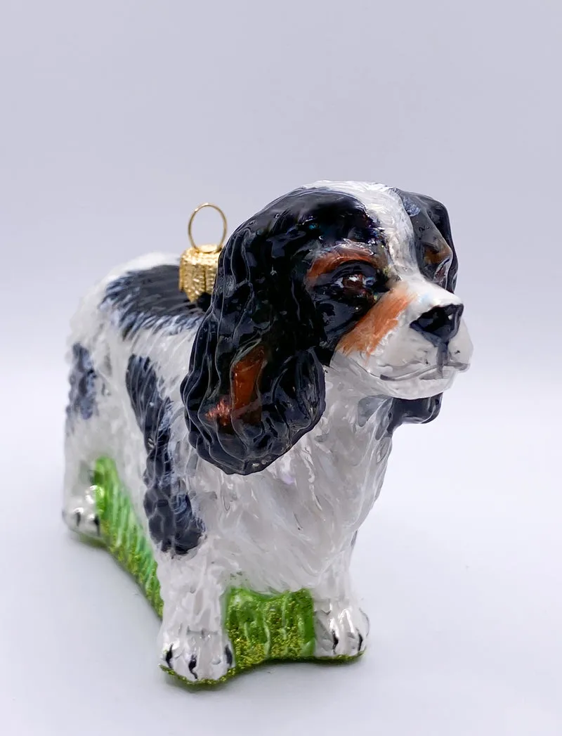Cavalier King Charles Spaniel