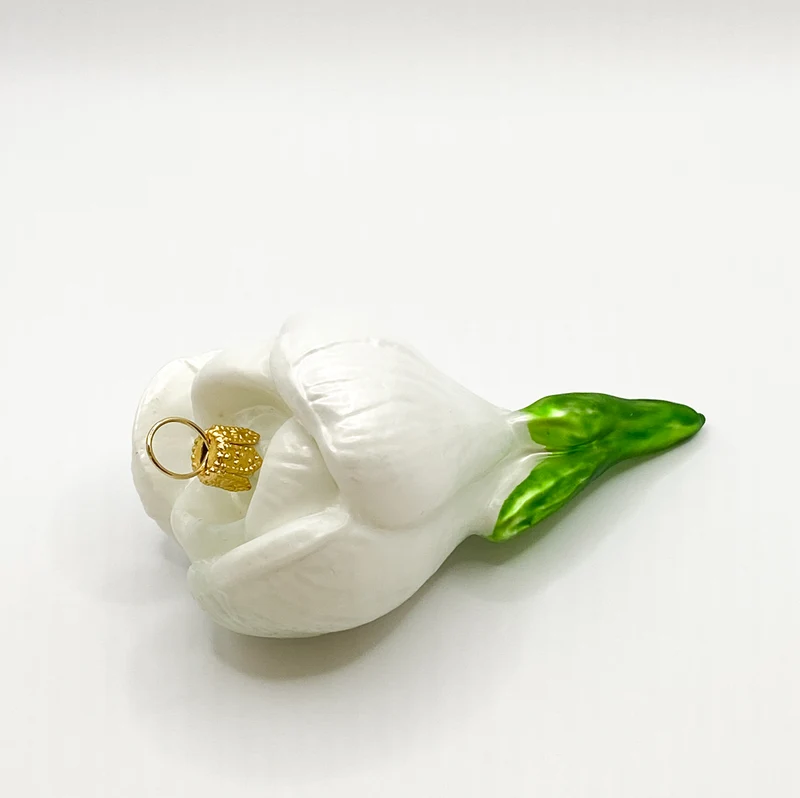 Krokusblüte weiss