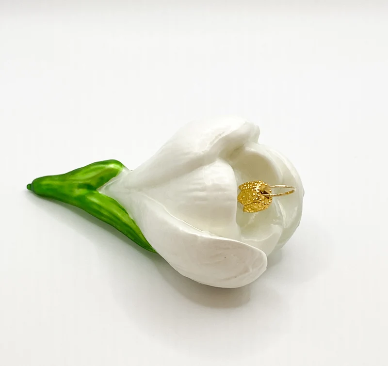 Krokusblüte weiss