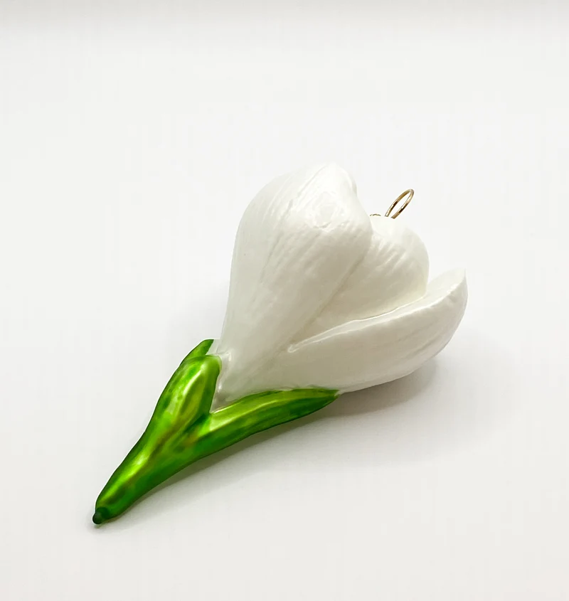 Krokusblüte weiss