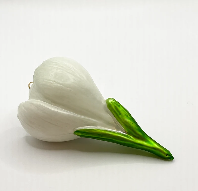 Krokusblüte weiss