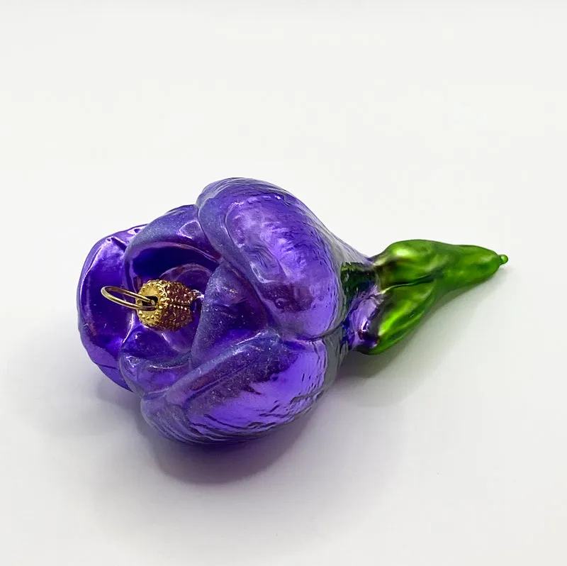 Krokusblüte violett