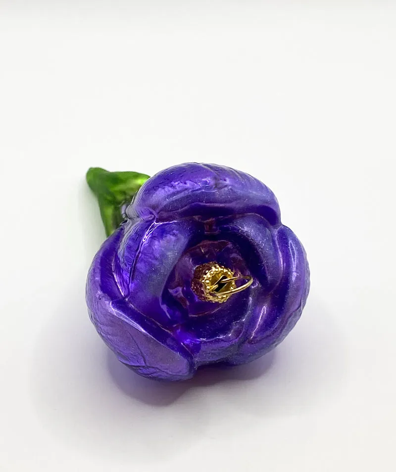 Krokusblüte violett
