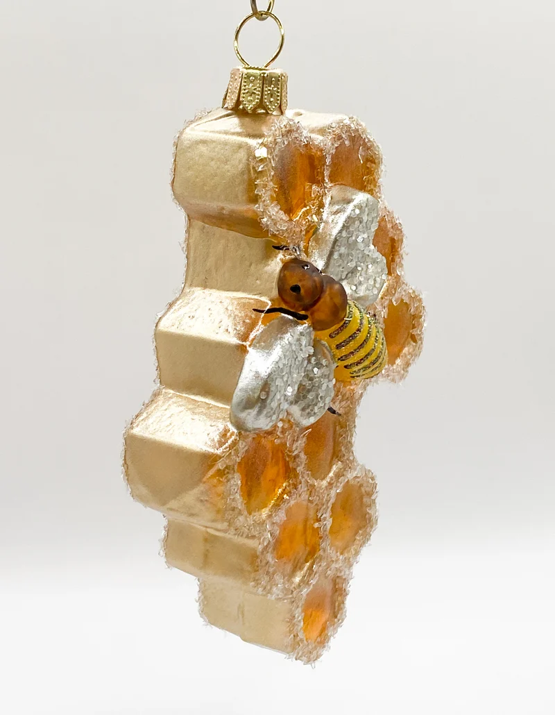 Die Biene krabbelt auf der Bienenwabe, transparent