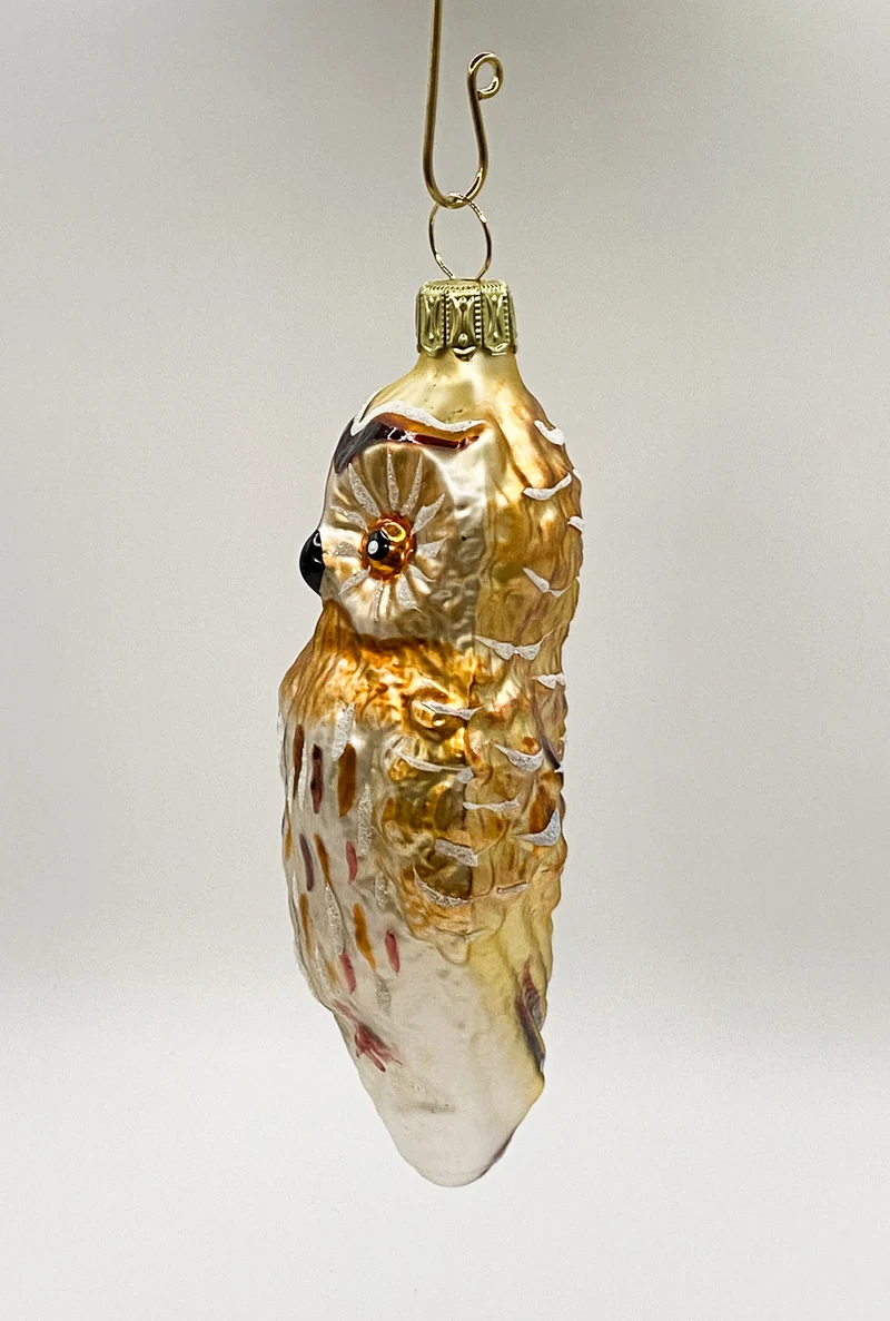 Goldbraune Eule