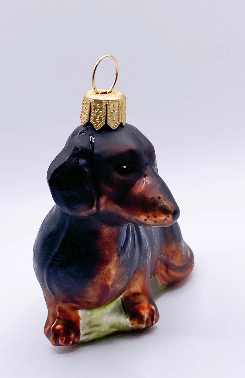 Schwarzer Dackel