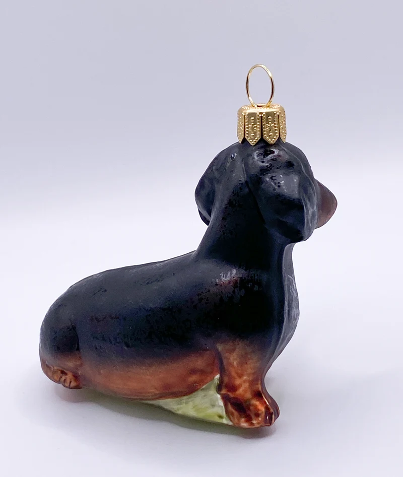 Schwarzer Dackel