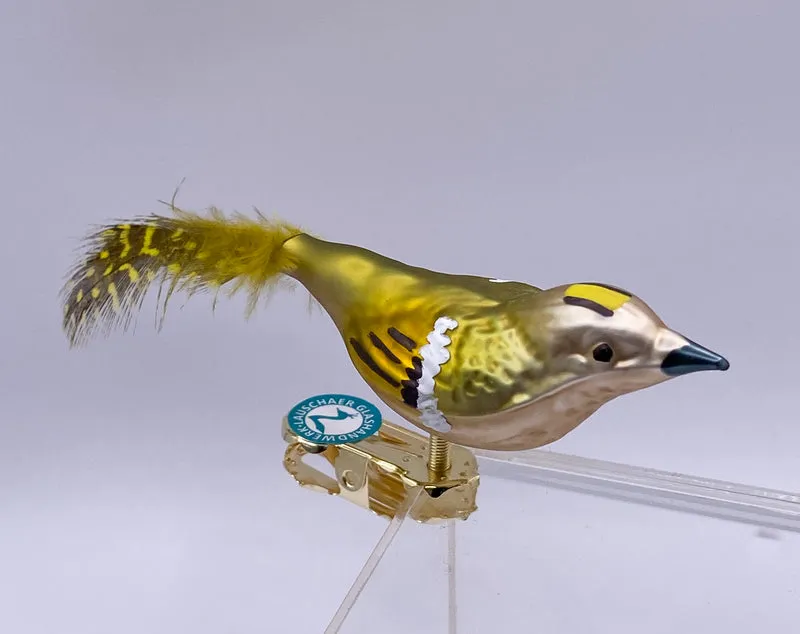 Wintergoldhähnchen