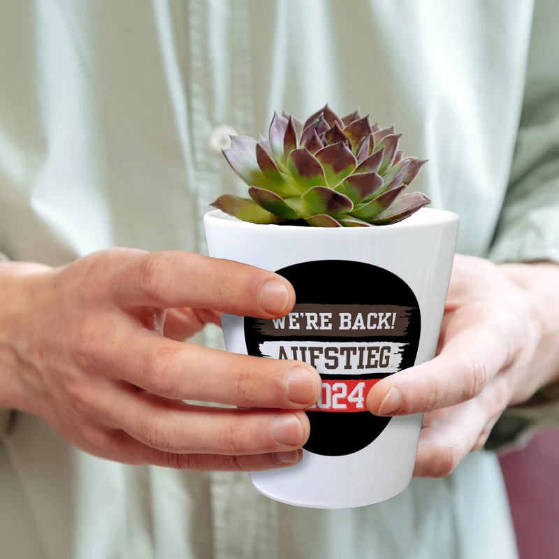 St. Pauli Aufstieg 2024 Blumentopf mit Spruch We're back
