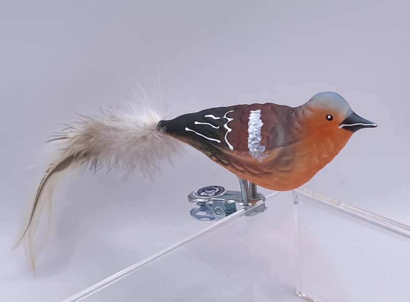 Buchfink mit Naturfeder