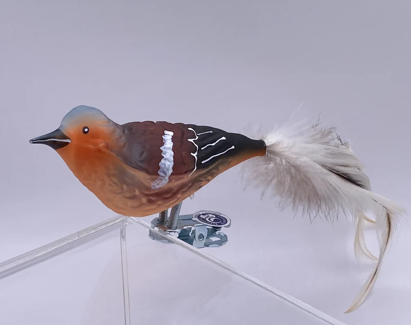 Buchfink mit Naturfeder