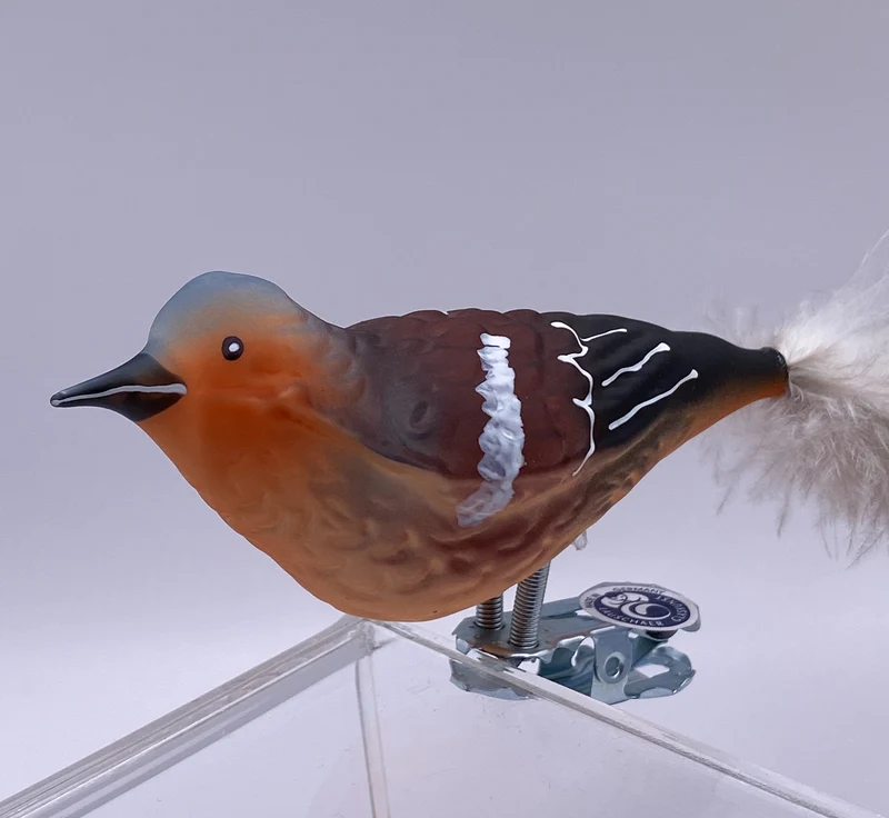 Buchfink mit Naturfeder