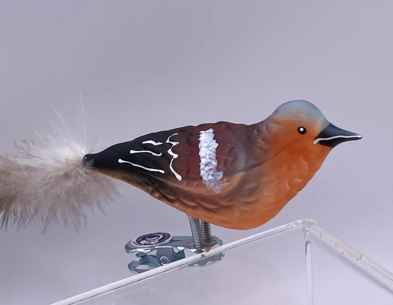 Buchfink mit Naturfeder