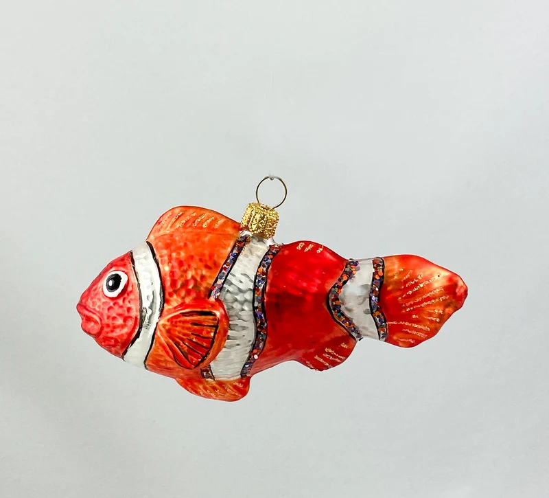 Clownfisch glänzend, Anemonenfisch