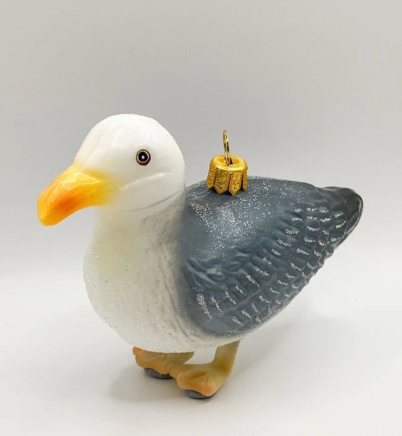 Möwe