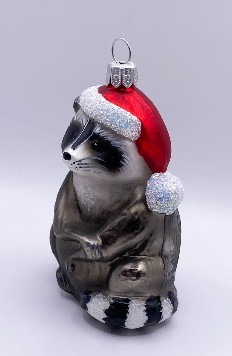 Der Waschbär freut sich auf Weihnachten