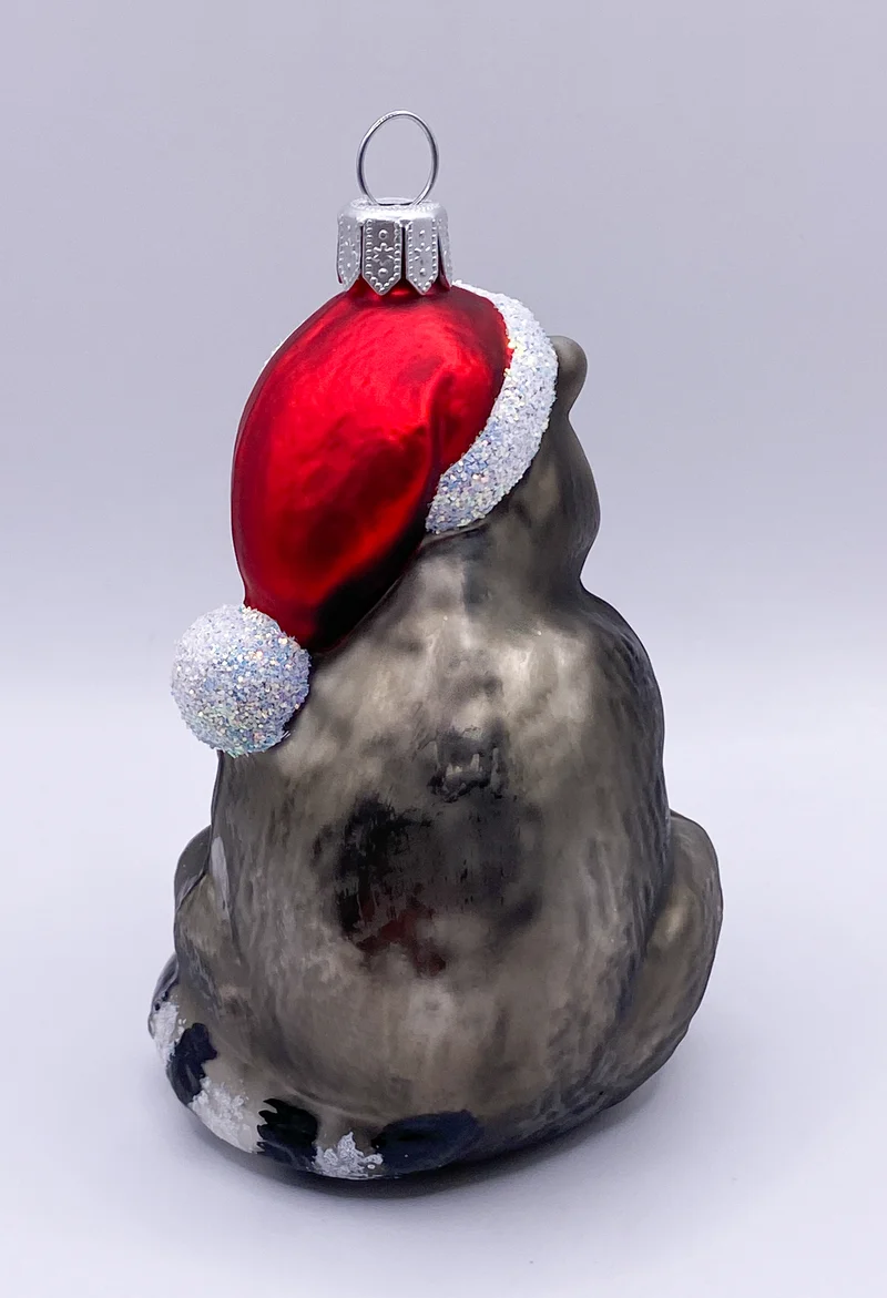 Der Waschbär freut sich auf Weihnachten