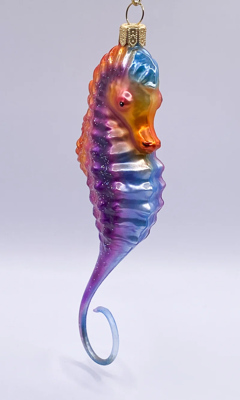 Seepferdchen in Regenbogenfarben