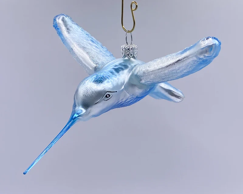 Kolibri eisblau