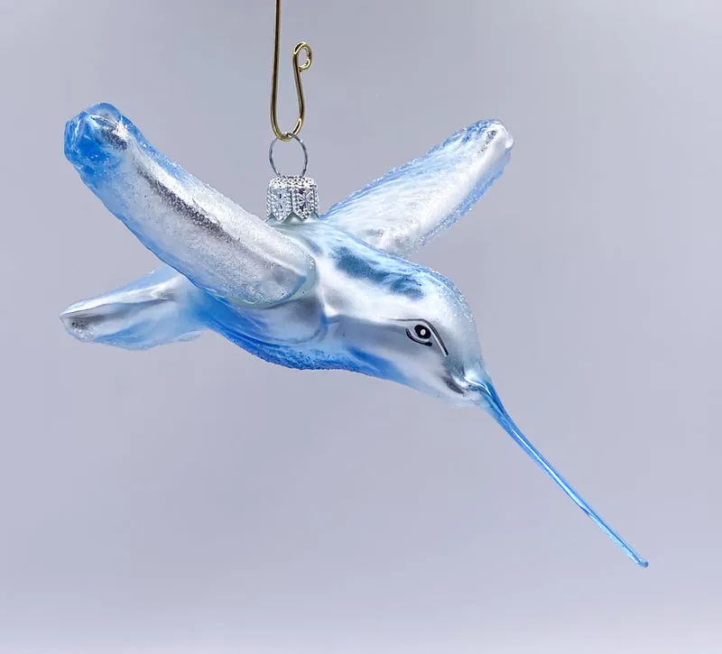 Kolibri eisblau