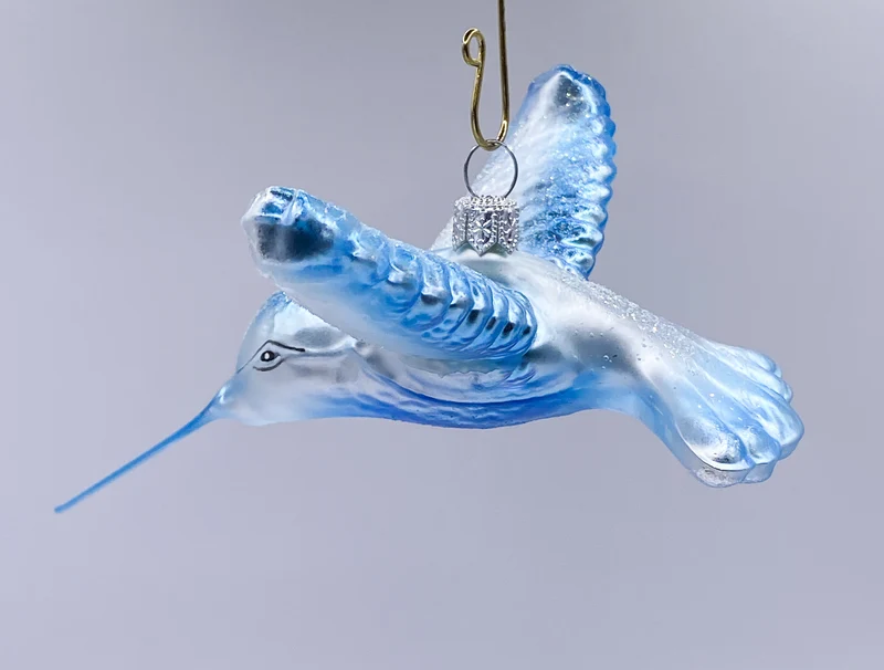 Kolibri eisblau