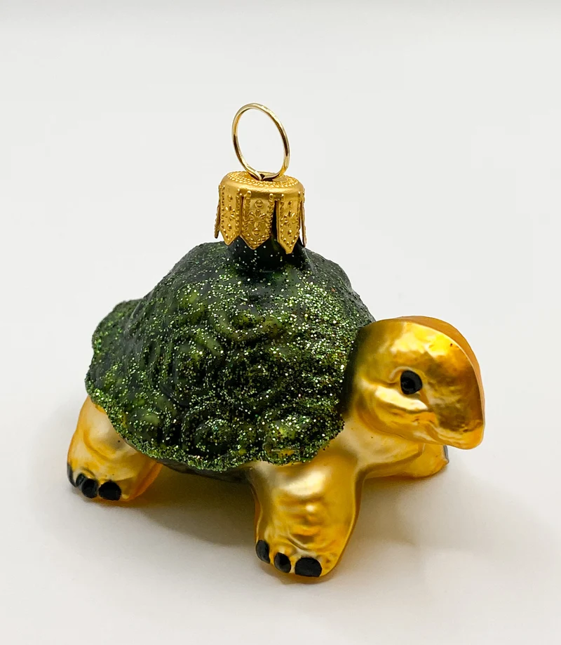 Kleine grüne Schildkröte