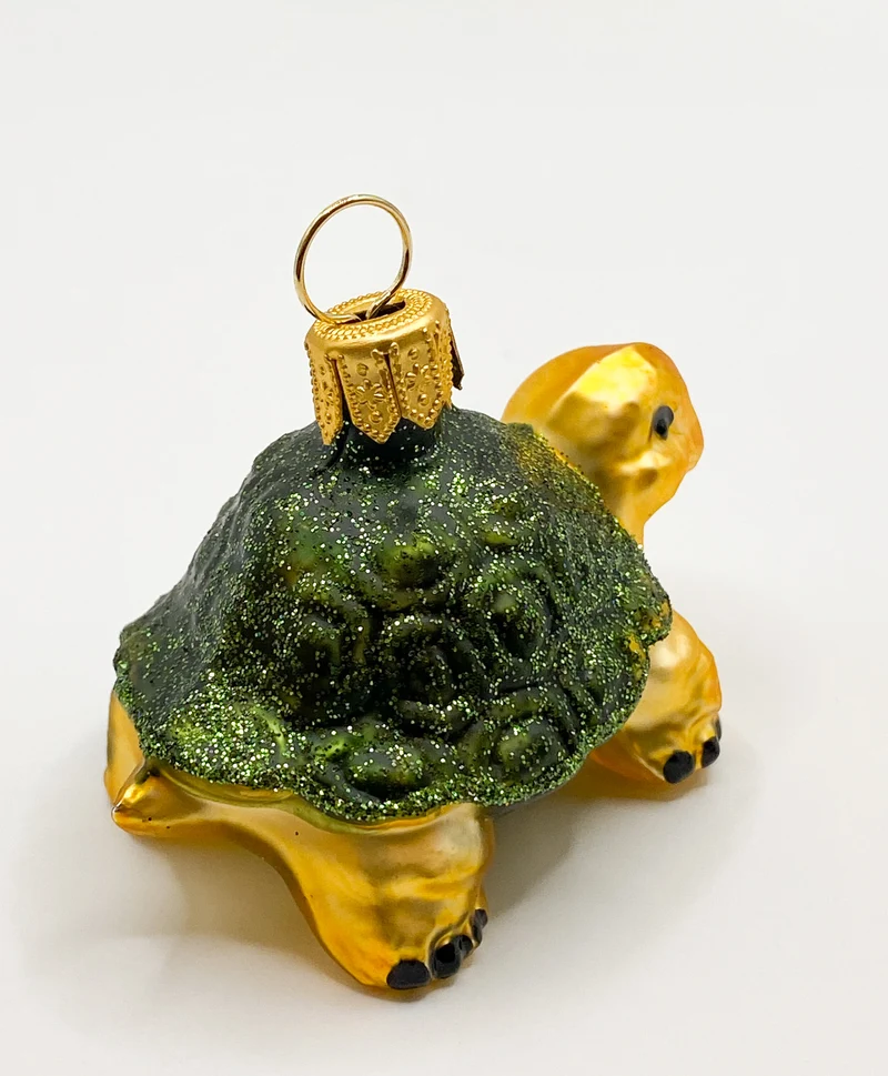 Kleine grüne Schildkröte