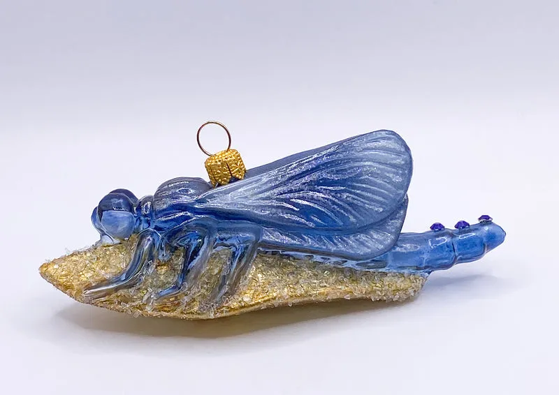 Libelle sitzt auf dem goldenen Blatt, blau