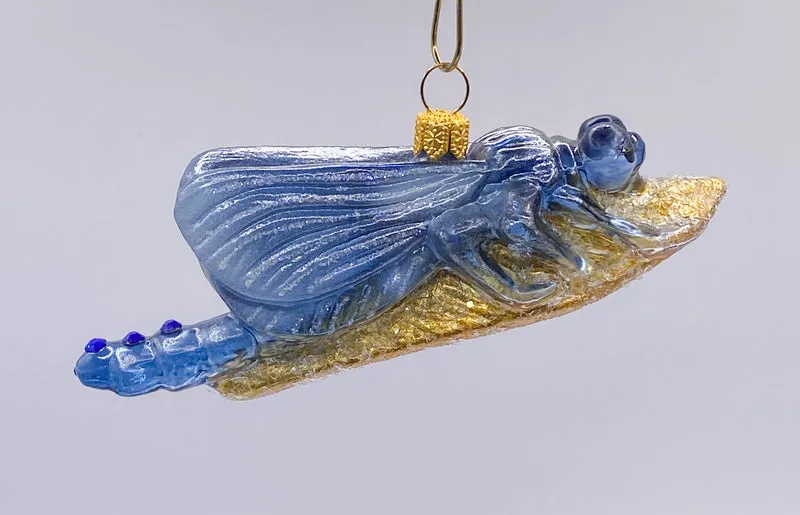 Libelle sitzt auf dem goldenen Blatt, blau