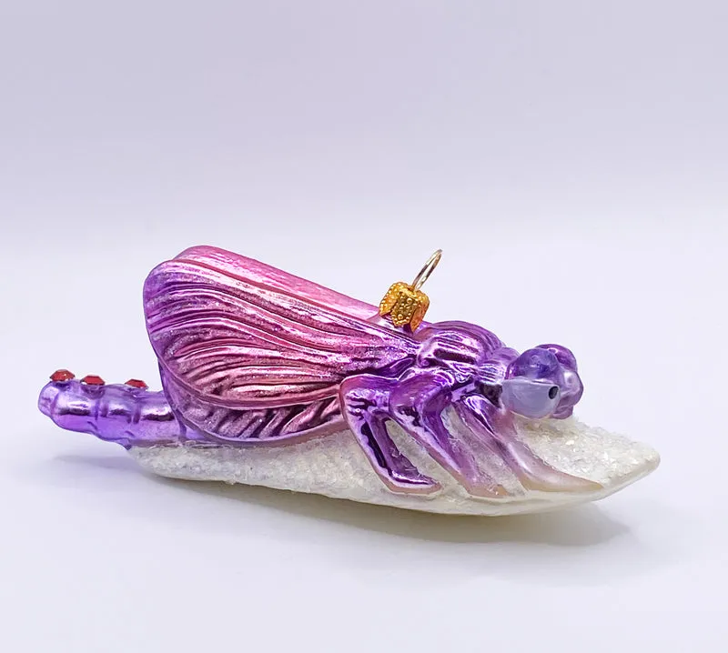 Libelle sitzt auf dem weissen Blatt, pink