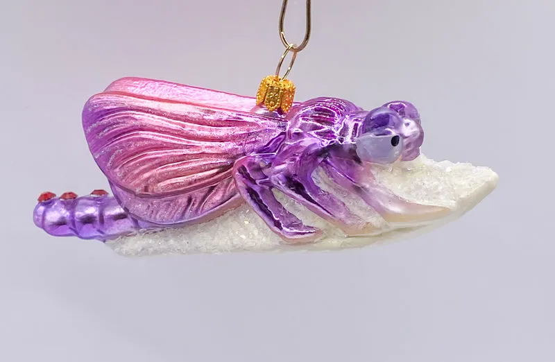 Libelle sitzt auf dem weissen Blatt, pink